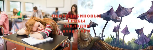 Альфа ПВП Аркадак