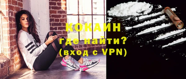 дживик Арсеньев